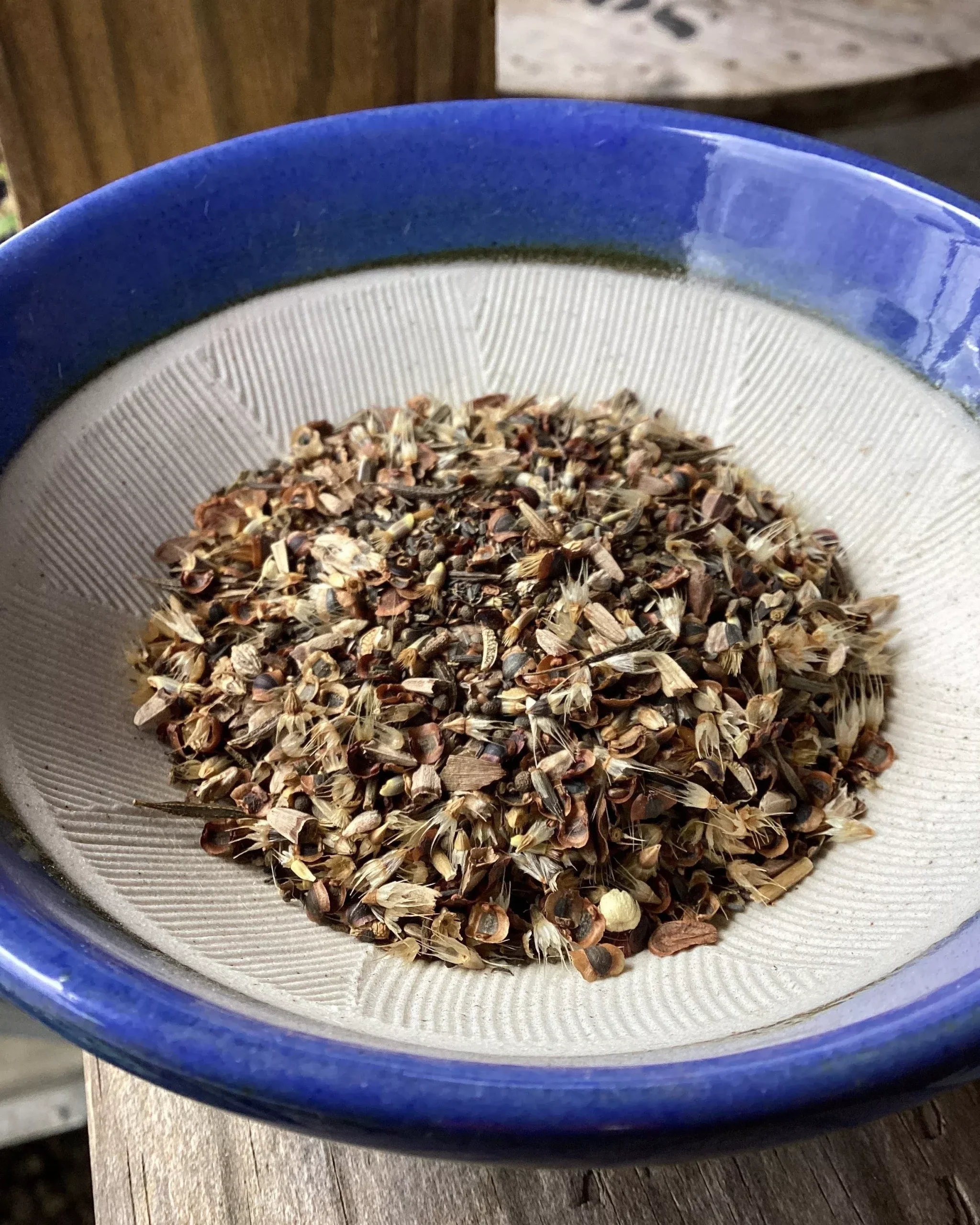 Native Wildflower Seed Mix