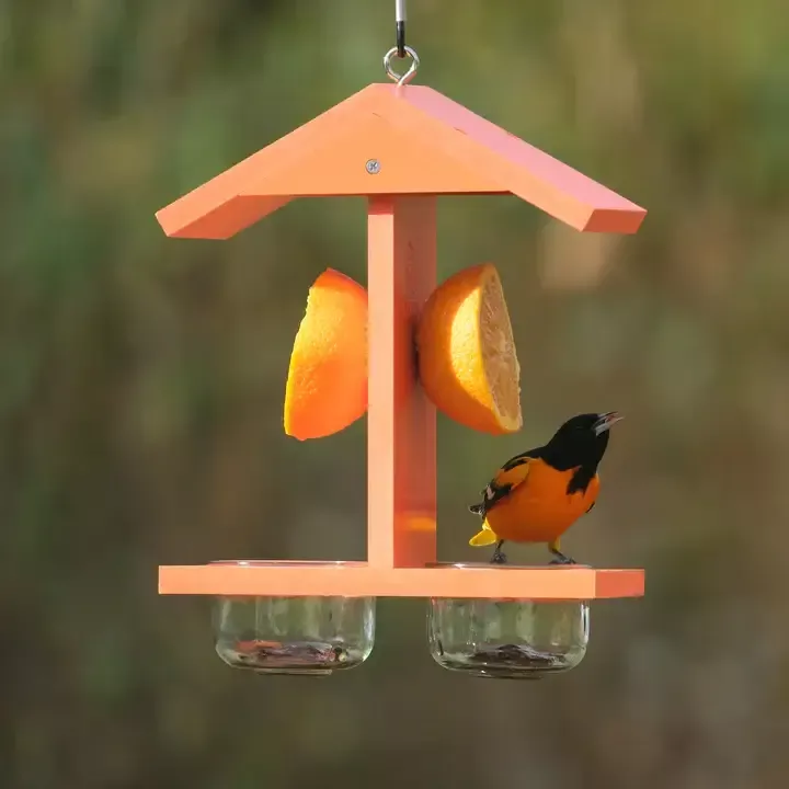 Nature’s Way Citrus Sampler Oriole Feeder