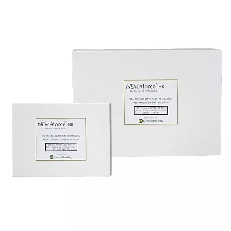 NEMAforce HB for Gnat Control