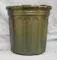No Hole Pot Lily gallon 8" x 5"