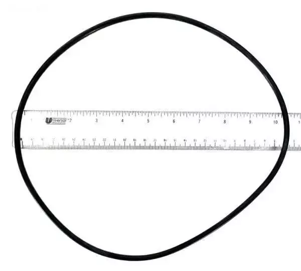 O-Ring, Backplate