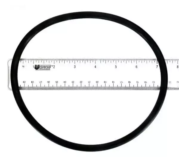 O-Ring, Lid
