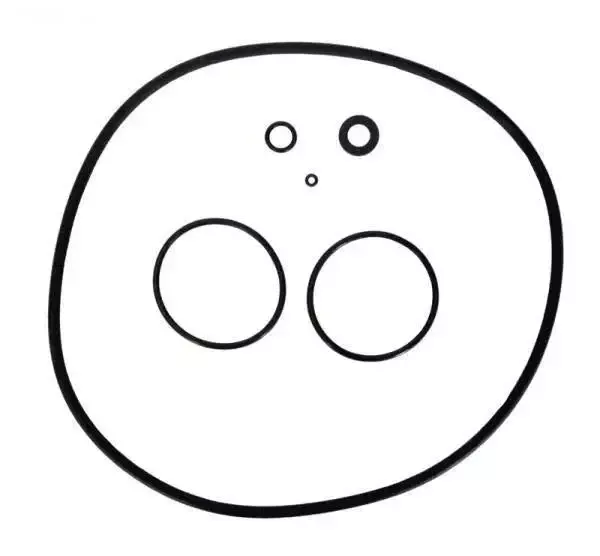 O-Ring Set