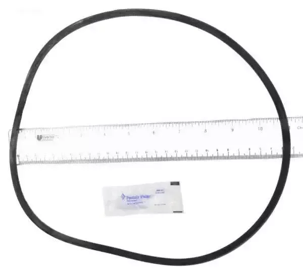 O-Ring, Tank, includes silicon grease
