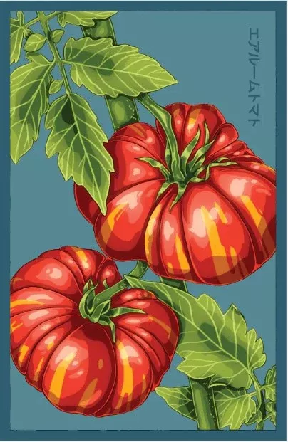 Old German Heirloom Tomato Vegetable Seeds Packet