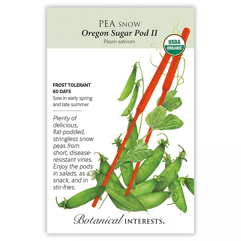 Oregon Sugar Pod II Snow Pea Seeds Org