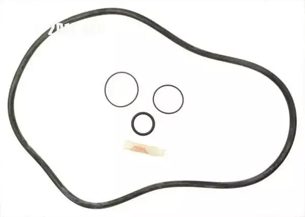 Pentair Fns Plus Filter Kit