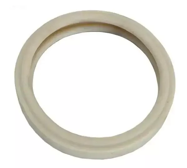 Pentair Lens Gasket, 4″
