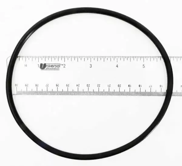 Pentair O-Ring, Seal Plate