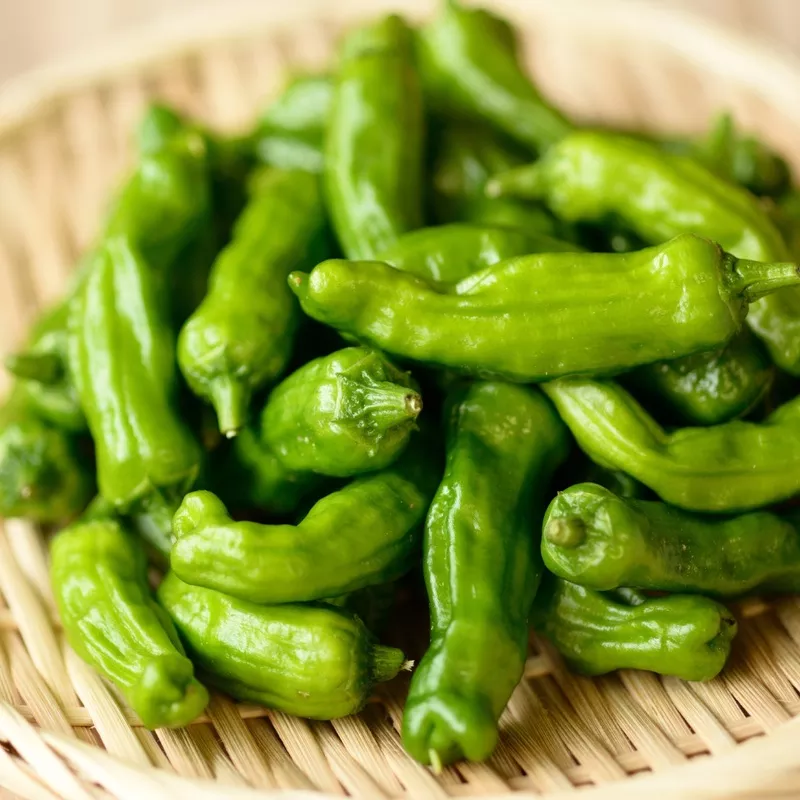 Pepper - Shishito 2 Pack