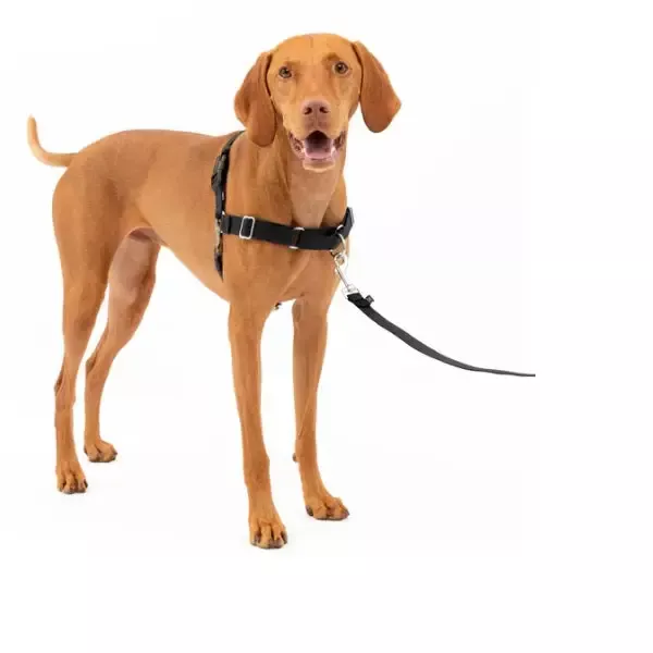 PetSafe Easy Walk Harness– Black/Silver