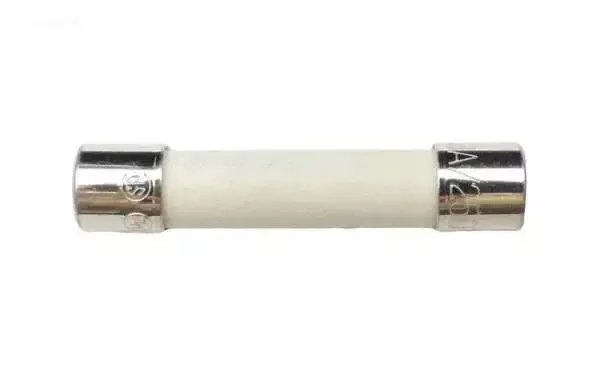 Polaris 3.0 Amp Fuse