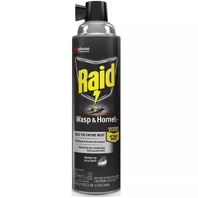 Raid™ Wasp & Hornet Killer Aerosol, 17.5 oz.
