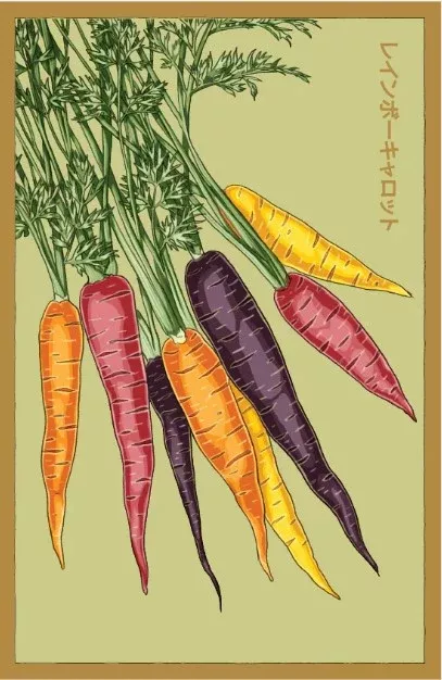 Rainbow Carrot Vegetable Seeds Packet