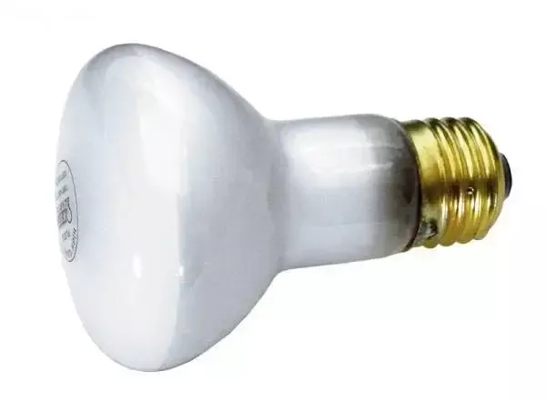 Replacement Lamp Kit 60W 120V