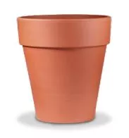Rose Pot German