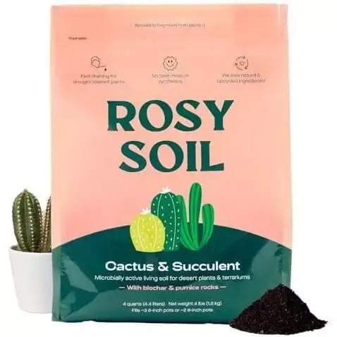 Rosy Soil Cactus & Succulent Mix, 4 qt.