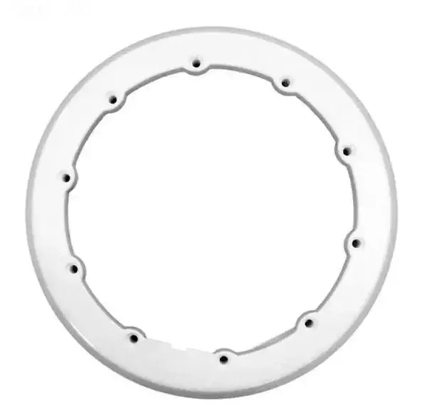 Sealing Ring w/Gasket
