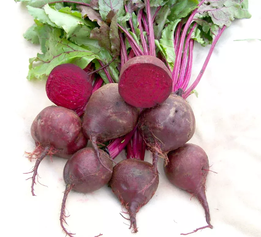 Seeds Detroit Dark Red Beets