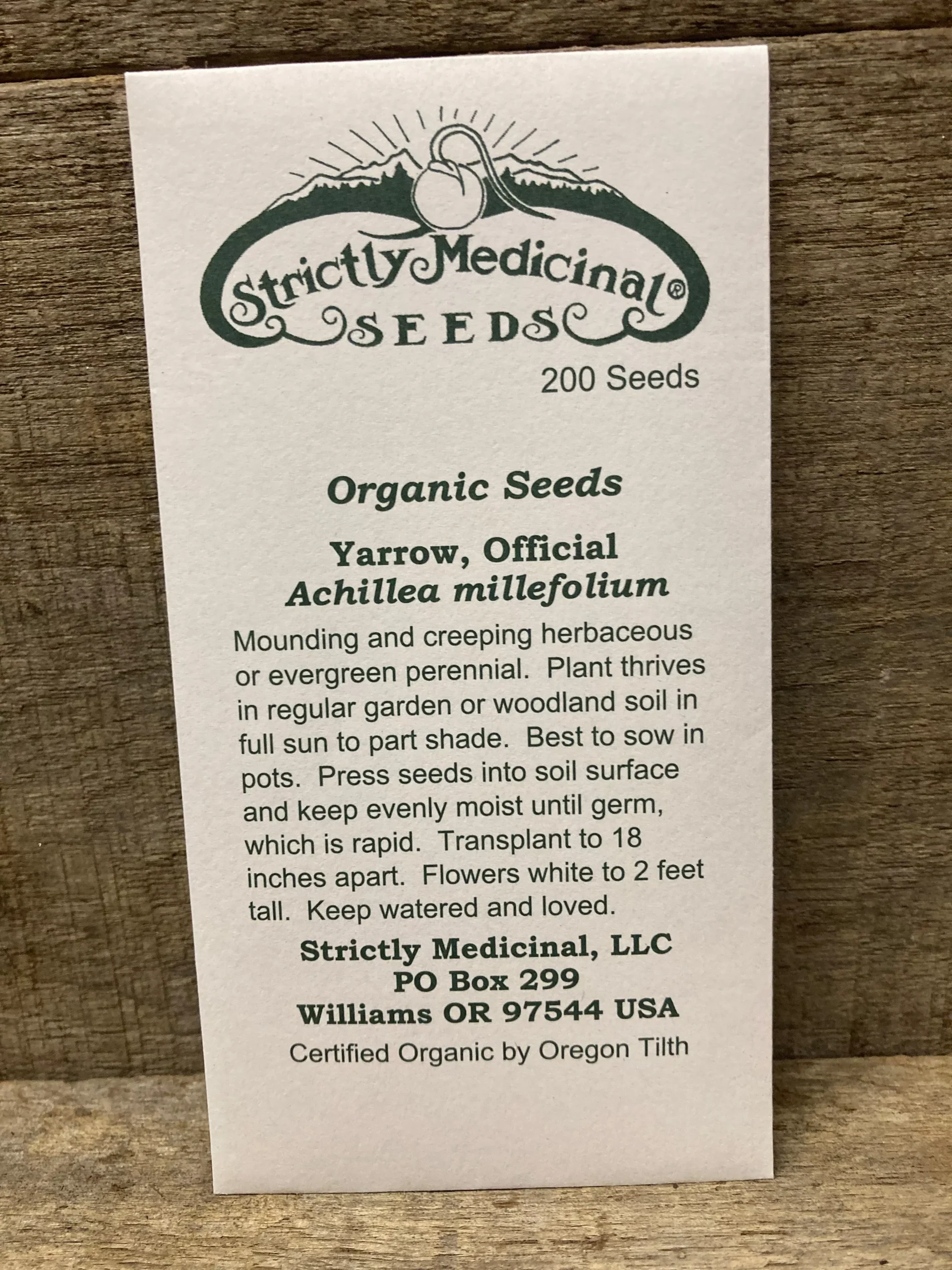Seeds Yarrow