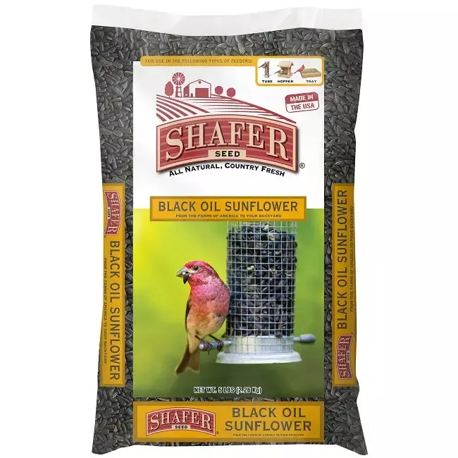 Shafer Black Oil Sunflower Seed 5 Lbs.