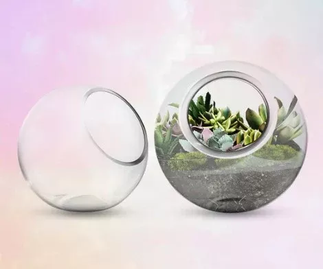 Slant Cut Bubble Bowl Terrarium