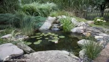 Small Pond Kit 8 X 11