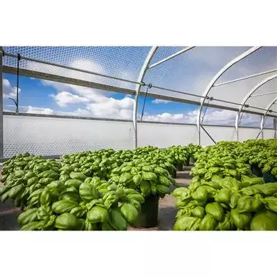 SolaWrap Greenhouse Covering Bulk Roll