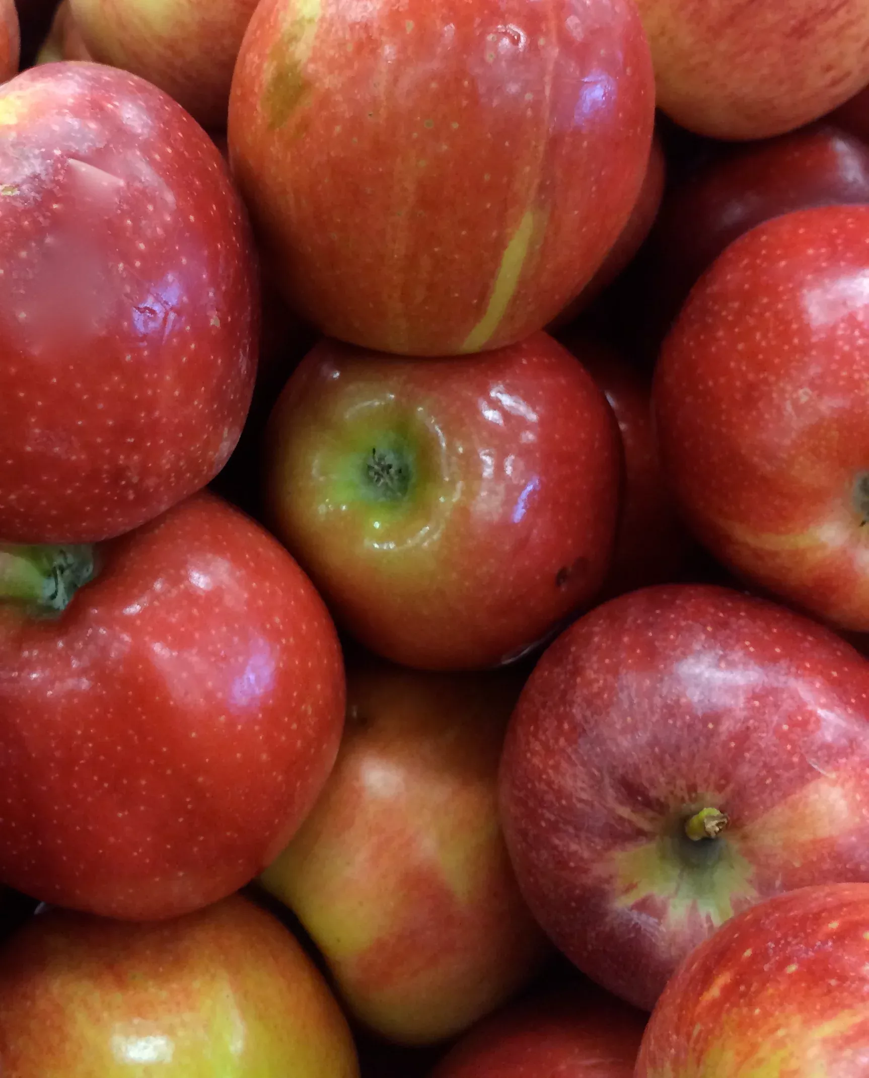 Spartan Apple