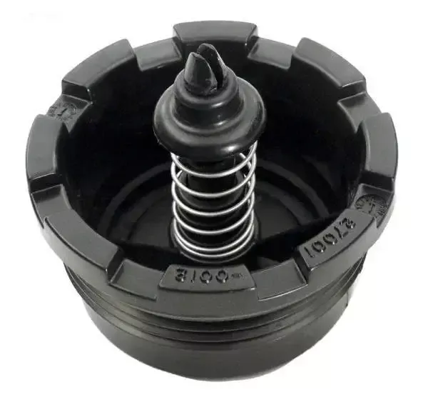 Spring check valve