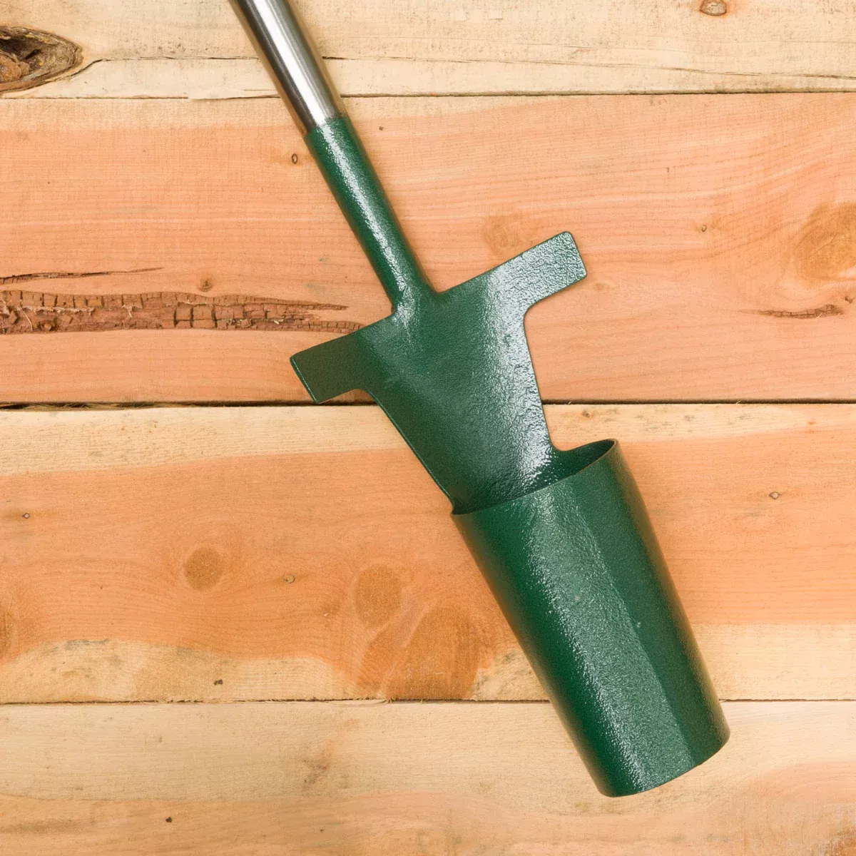 Stand Up 3" Bulb Planter (Bulldog)
