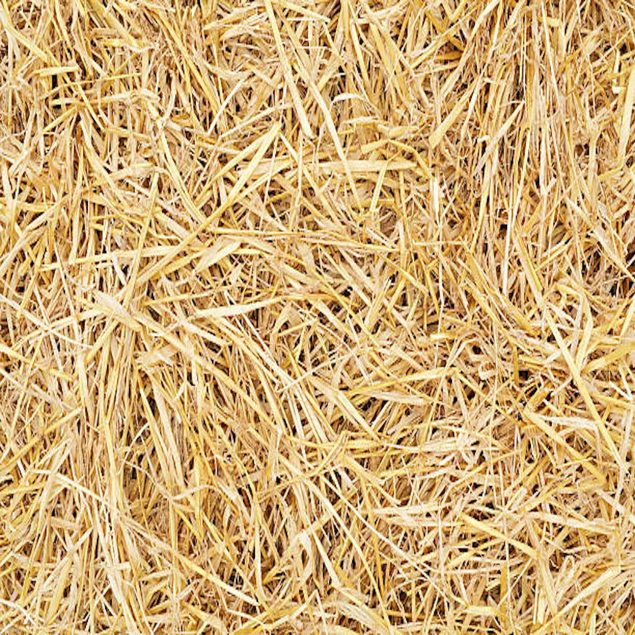 Straw