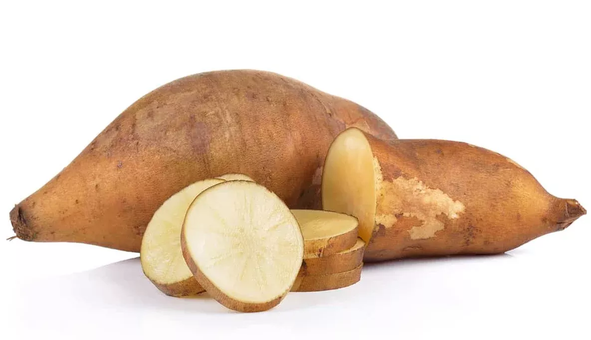 Sweet Potato, O-Henry