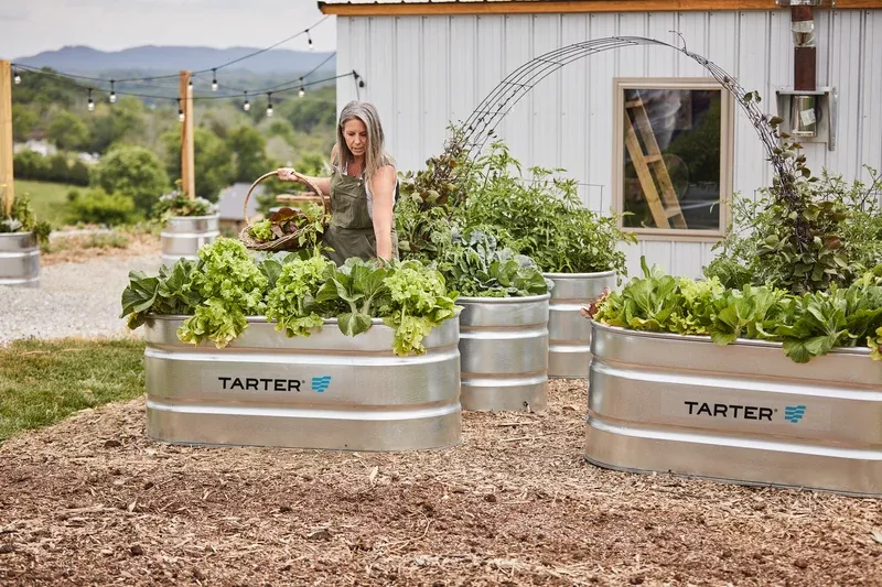 Tarter Oval Ultra 170-Oval Galvanized Stock Tank