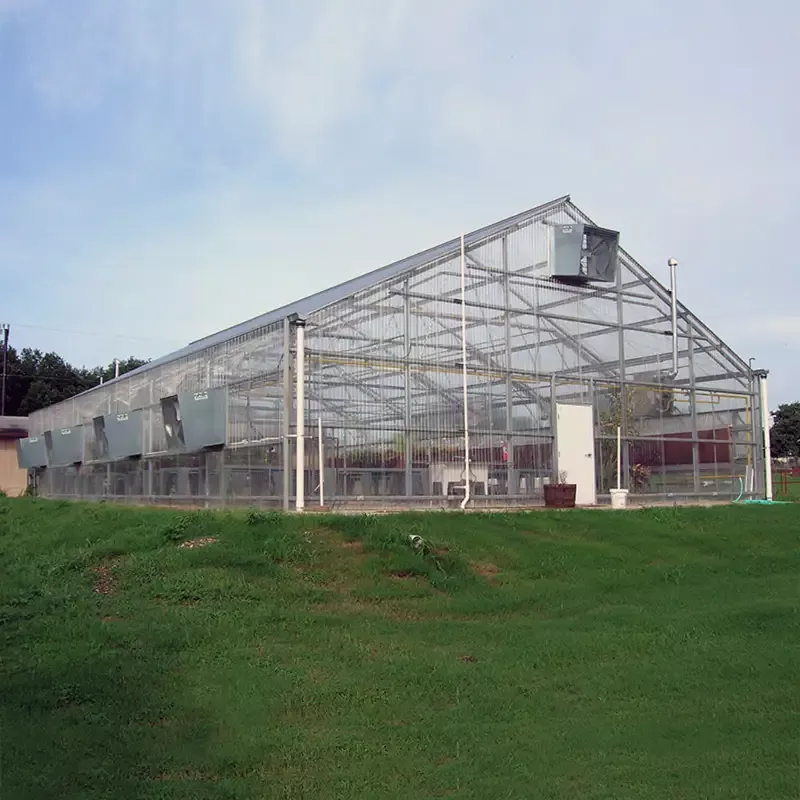 Texan Teaching Greenhouse Package