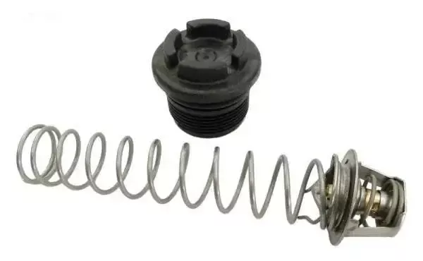 Thermal Regulator Kit, inc. #16-19 & spring clip
