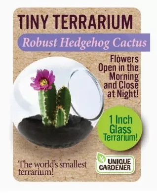 Tiny Terrariums