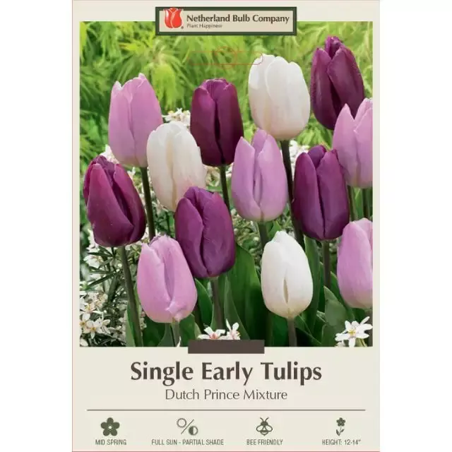 Tulip Bulbs – Single Early ‘Dutch Prince Mixture’ – Pack of 7