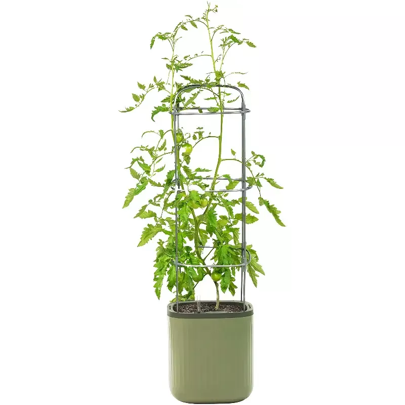 Vego Garden™ EZ Self-Watering Tomato Planter with Trellis