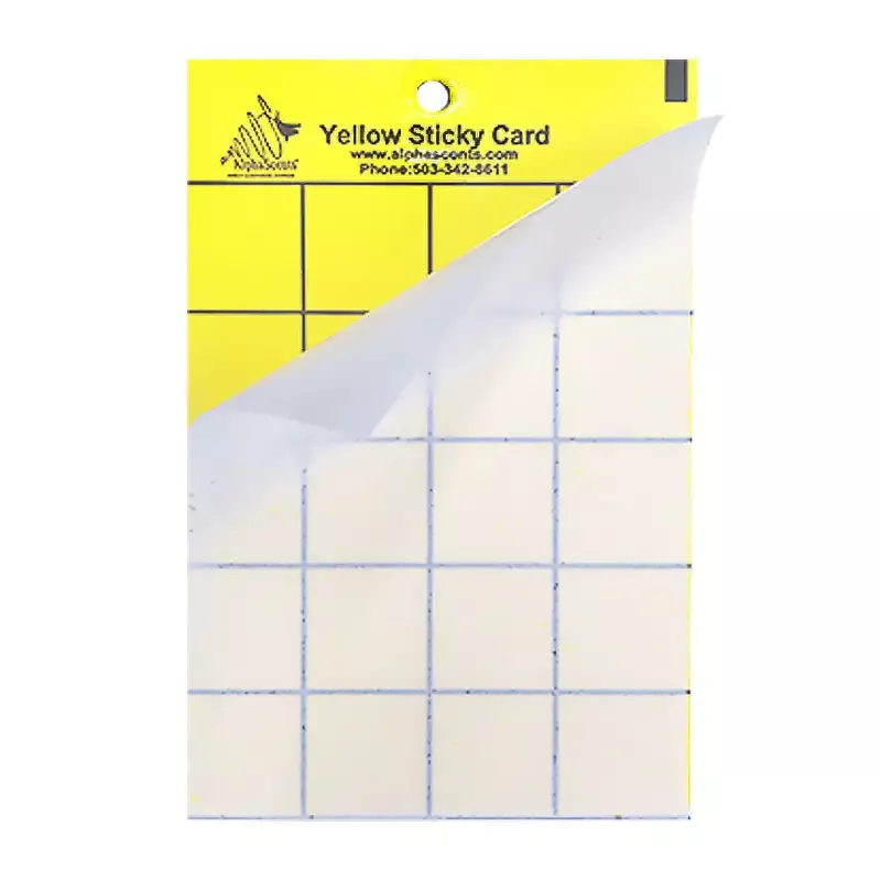 Yellow Jacket Wasp Trap and Lure – Pack of 5